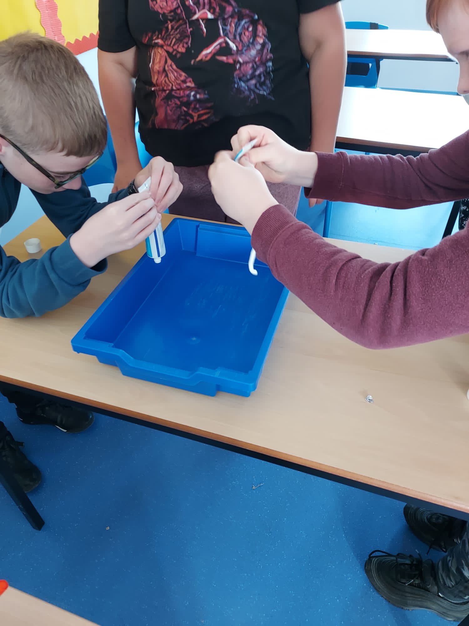 Practical Science-Hearts and digestion