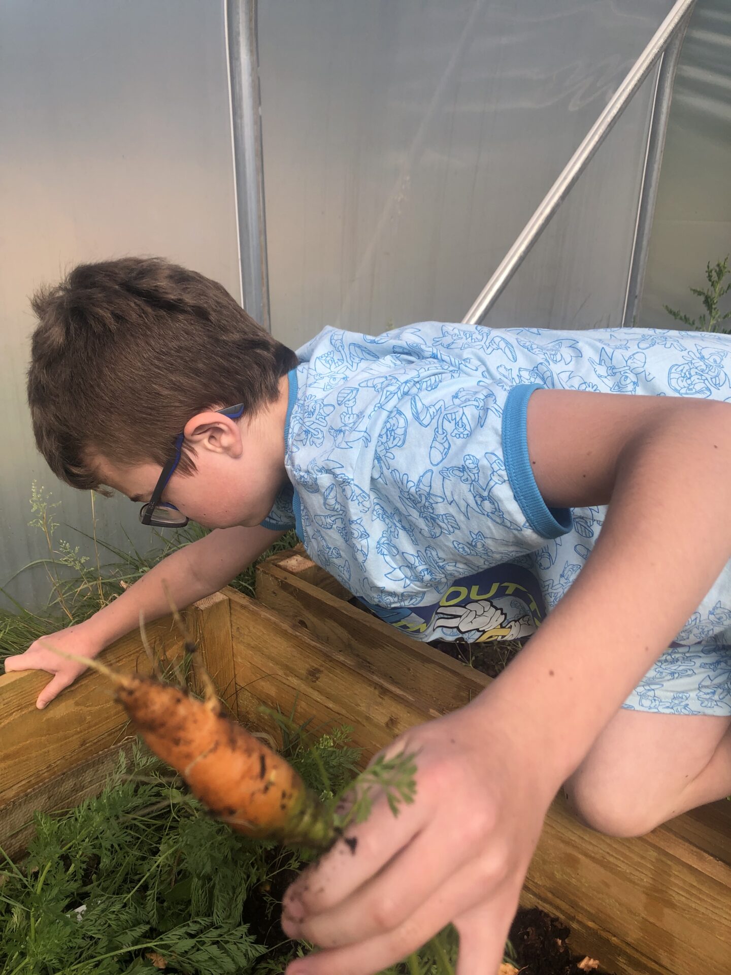 VE day, volleyball and gardening