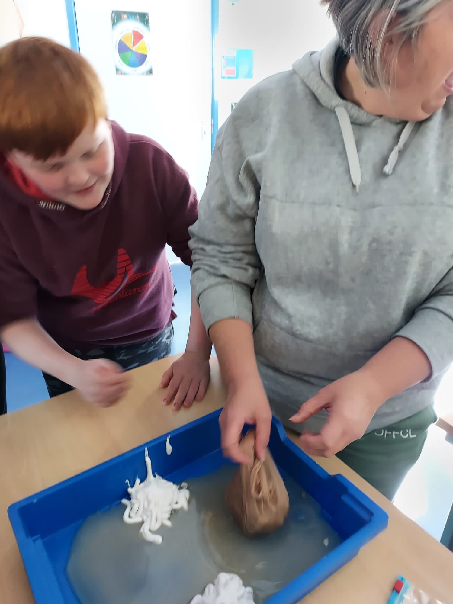 Practical Science-Hearts and digestion