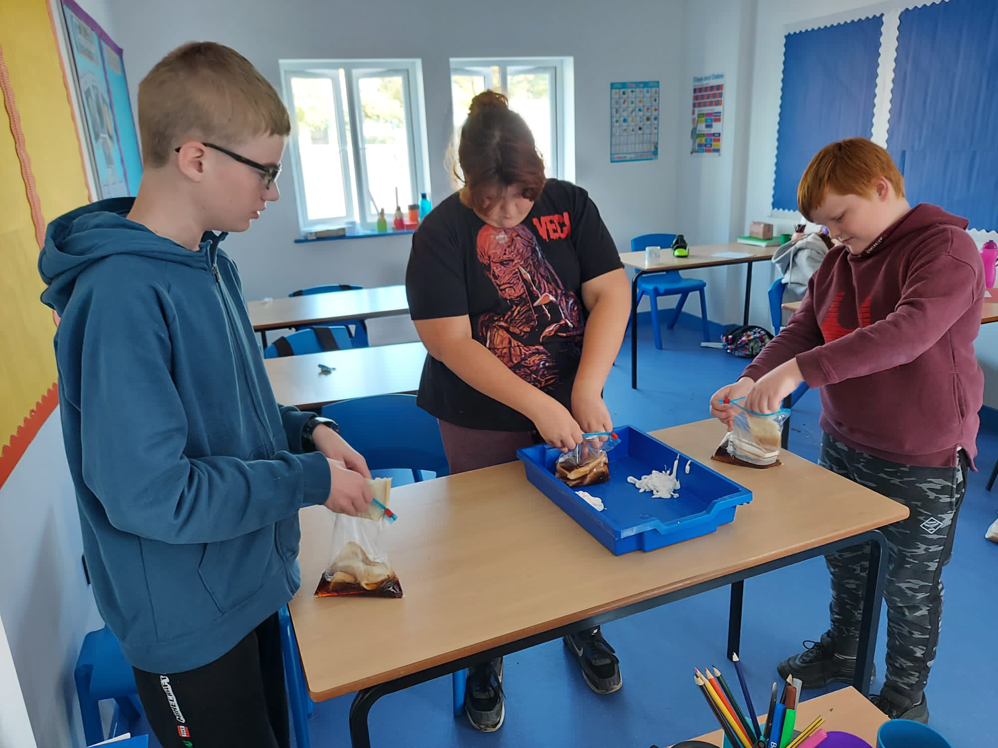 Practical Science-Hearts and digestion