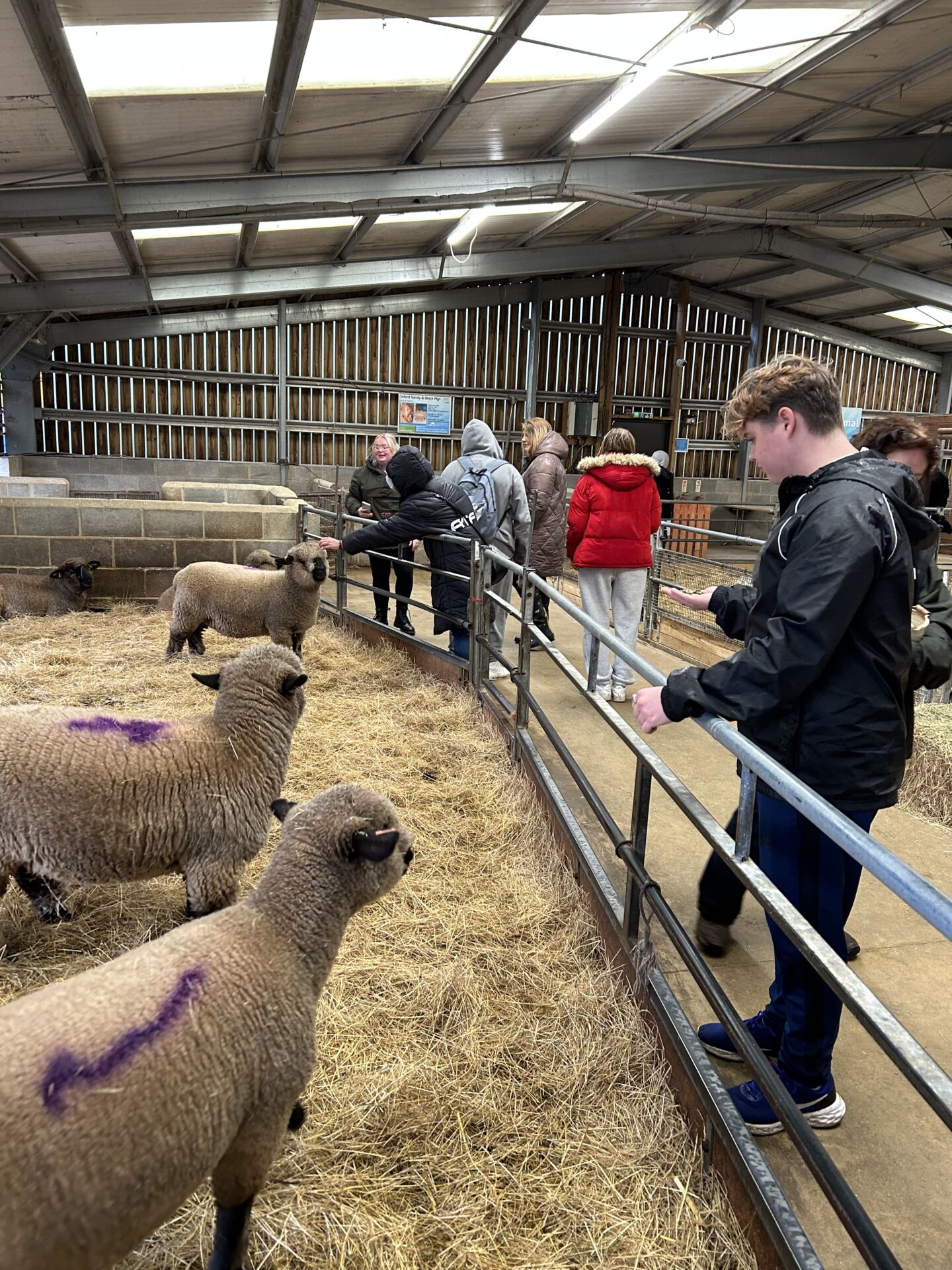 Henry Scragg visit and farm trip to Barleylands