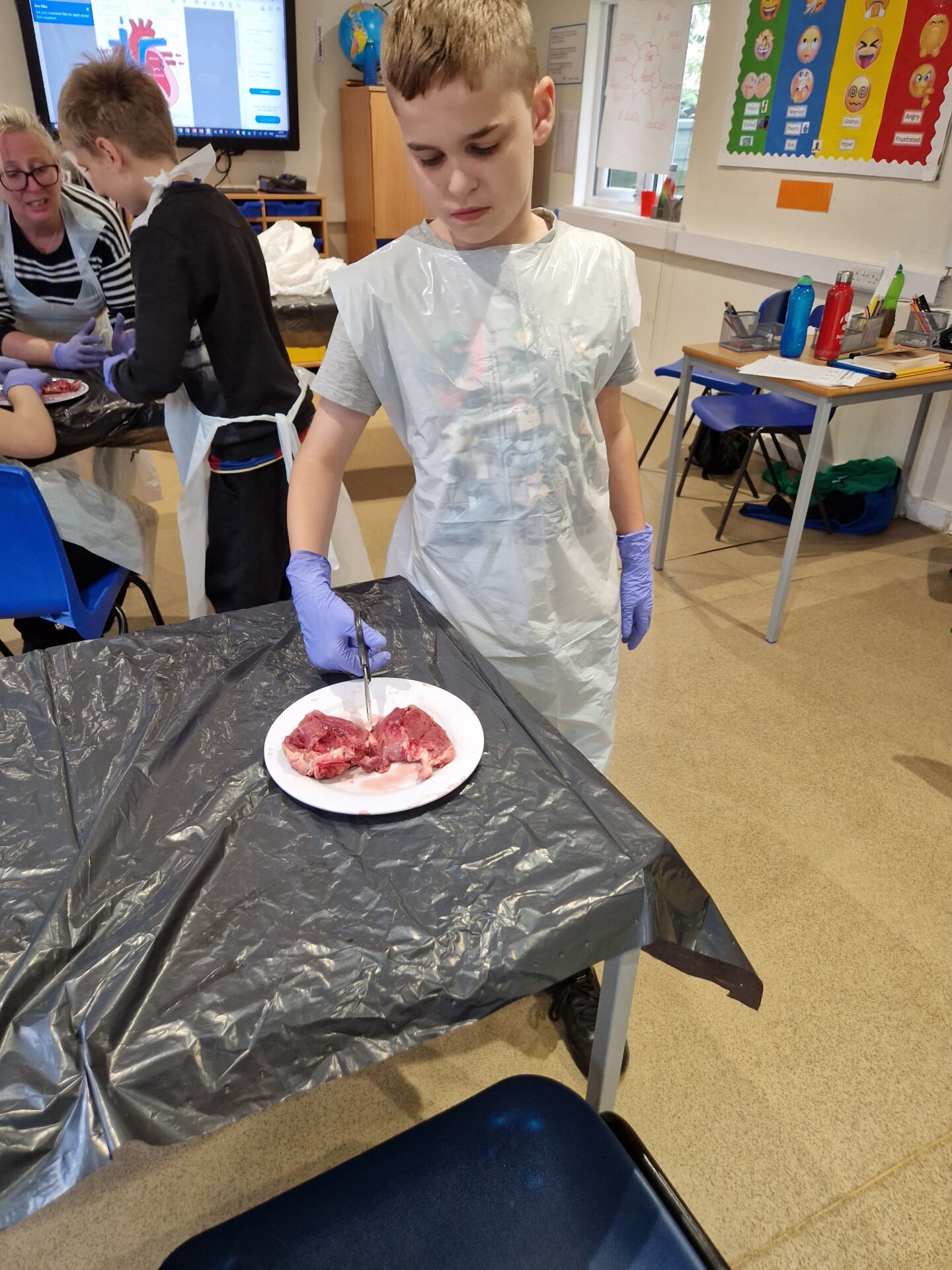 Practical Science-Hearts and digestion