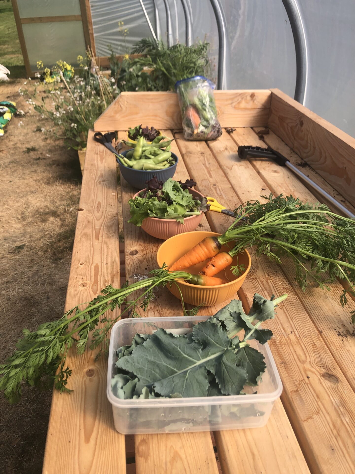 VE day, volleyball and gardening
