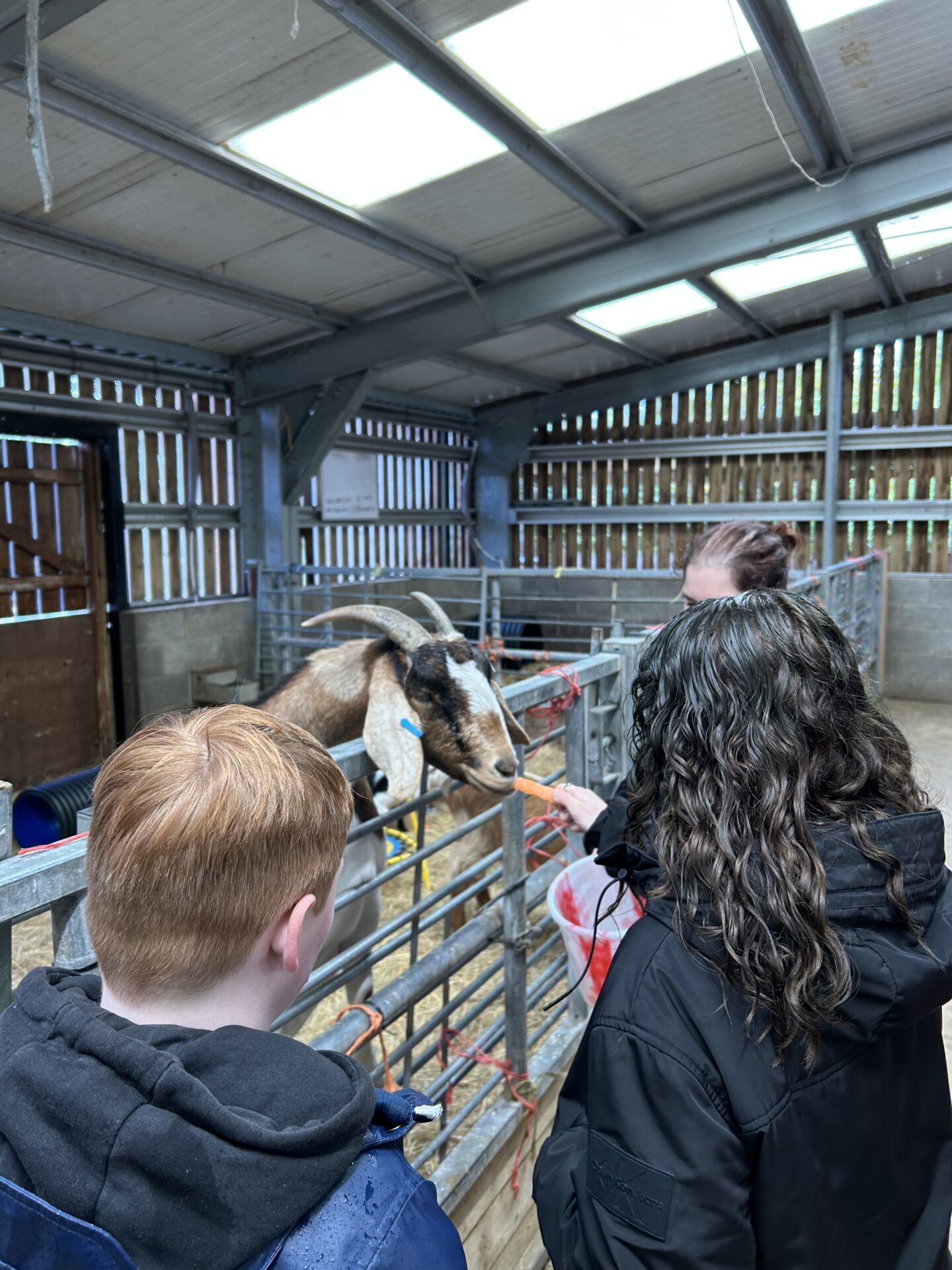 Henry Scragg visit and farm trip to Barleylands